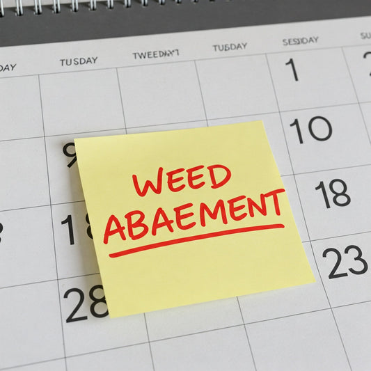 When Should I Schedule Weed Abatement Services?